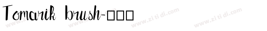 Tomarik brush字体转换